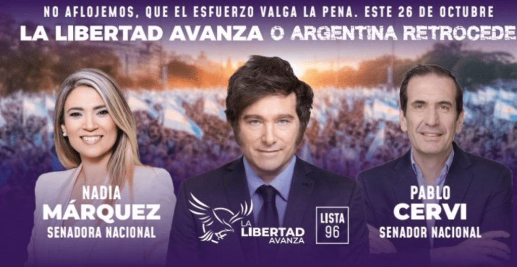Patricia Bullrich apoyó a los postulantes al Senado: “Acompañanos, Nadia Márquez y Pablo Cervi son grandes posibilidades para&nbsp;Neuquén”