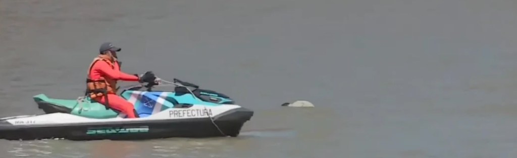 La Prefectura Naval rescató un cuerpo sin vida de las aguas del río de Puerto&nbsp;Madero