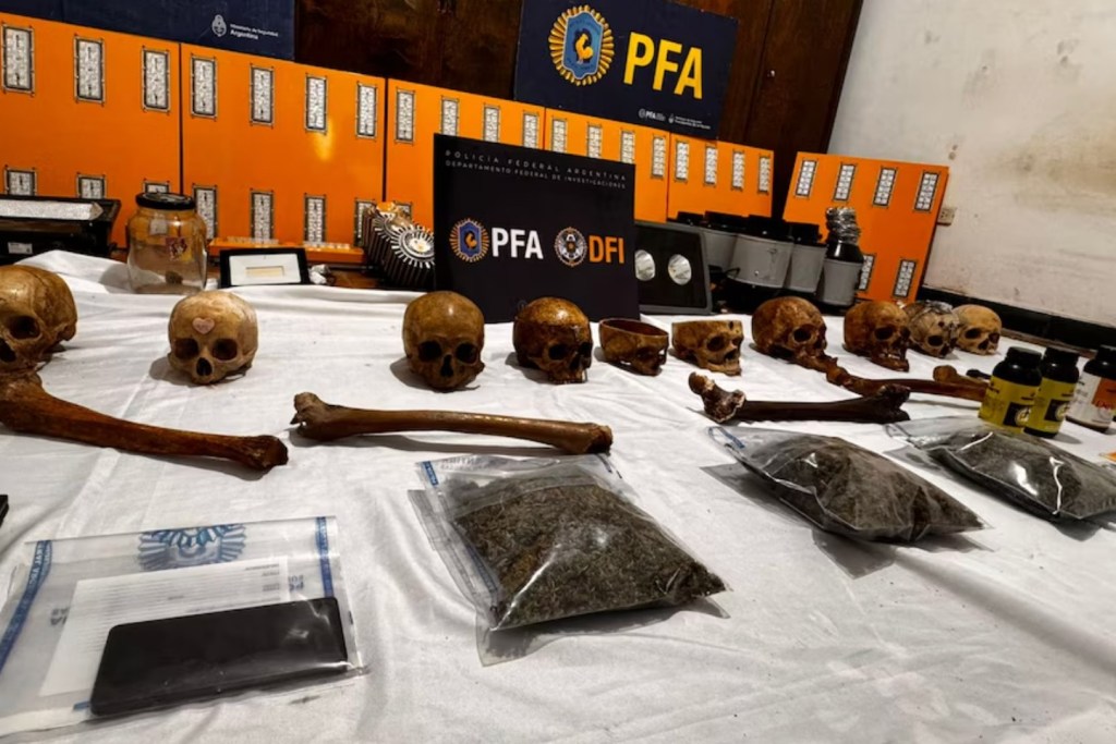 Descubrieron una perturbadora colección de restos óseos durante un operativo en&nbsp;Córdoba