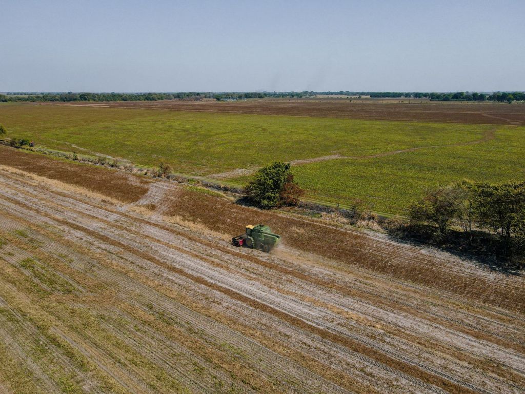 El agro argentino en su mejor momento: exportaciones crecen 128 por&nbsp;ciento