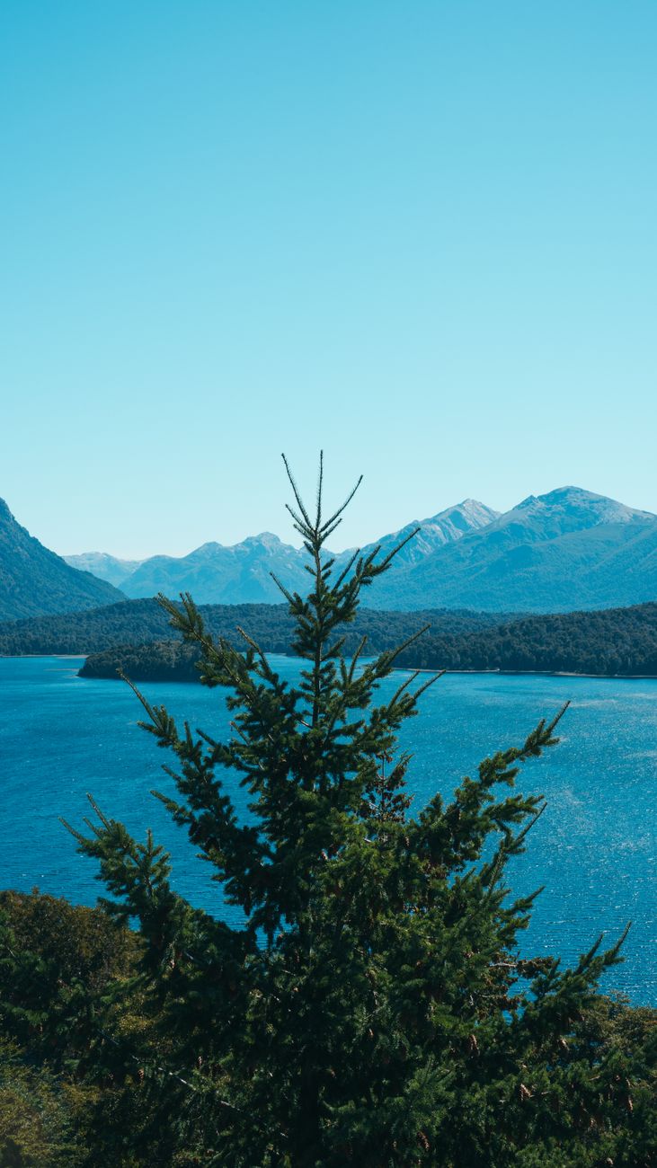 Oportunidad: vivir en la Patagonia trabajando media jornada con&nbsp;alojamiento
